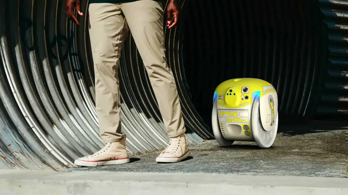 2000+ for a RollingBasket?! gitamini – Genius or Gimmick? (2025 Review)